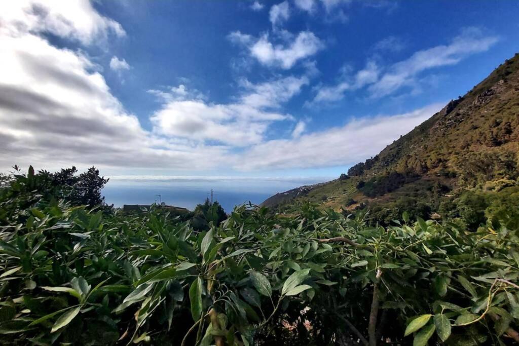 Casa Rural La Resbala - Casa Drago La Orotava Ngoại thất bức ảnh