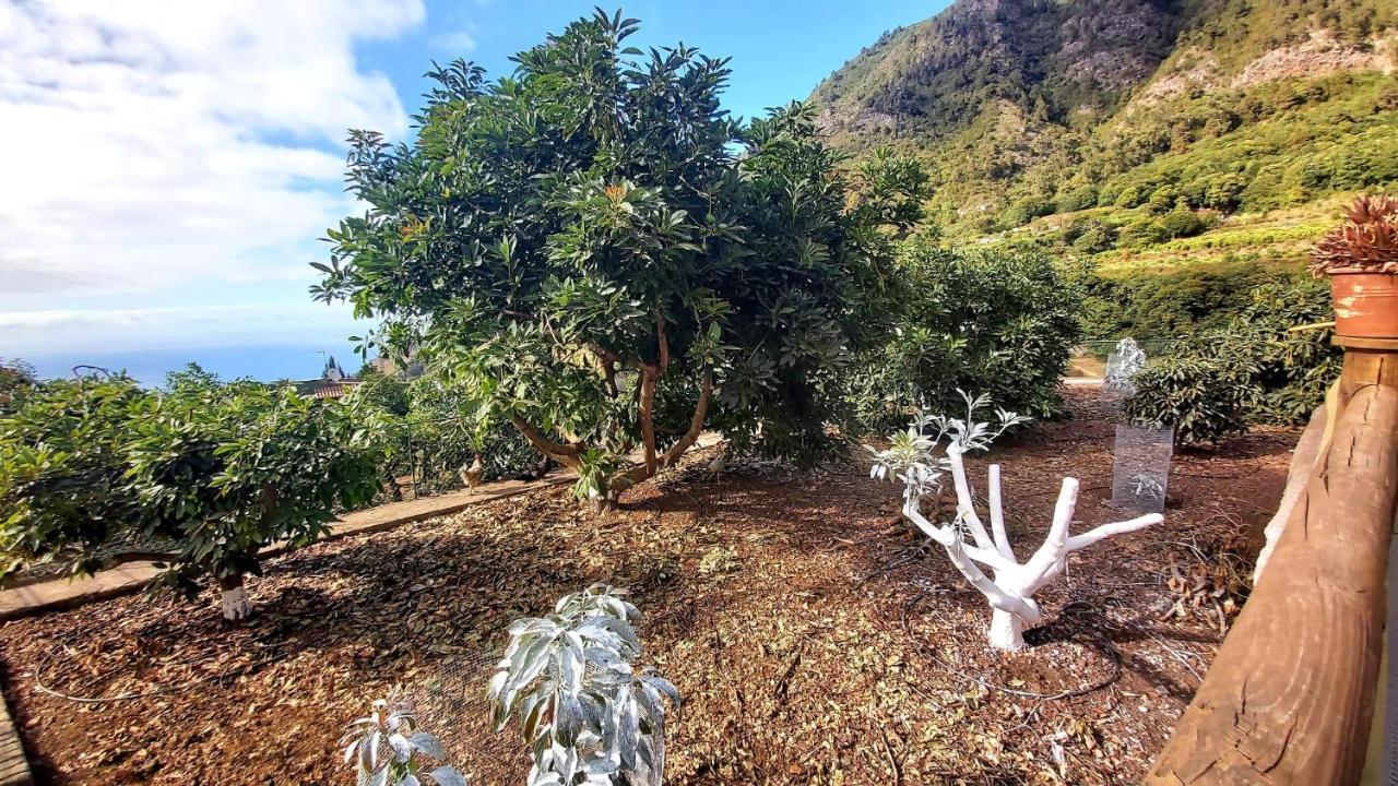 Casa Rural La Resbala - Casa Drago La Orotava Ngoại thất bức ảnh